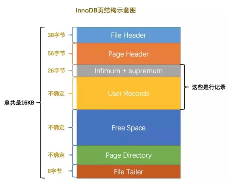 MySQL的基本存储结构是页